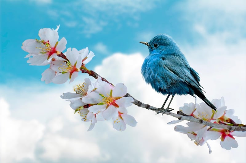 Nature's Beauty